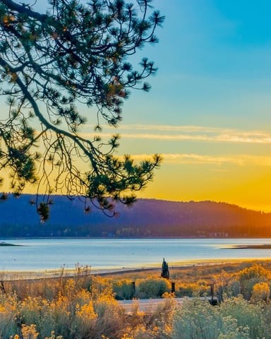 Book Direct