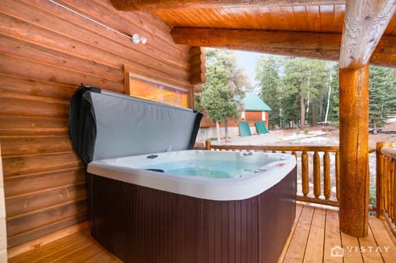Trophy Room Retreat - Large Lodge with Hot Tub & Sauna - Image 3
